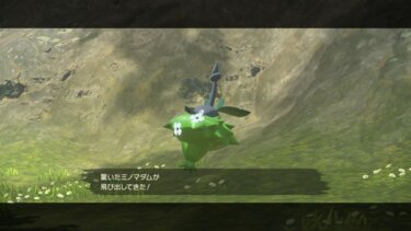 ポケモンレジェンズ モンボ縛りでbのビーダル橋はイケる アルセウス ポケモンレジェンズ アルセウスまとめ速報