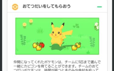 【スリープ】ポケモンのお手伝い時間ってのは、メインスキルの発動間隔なのかね？